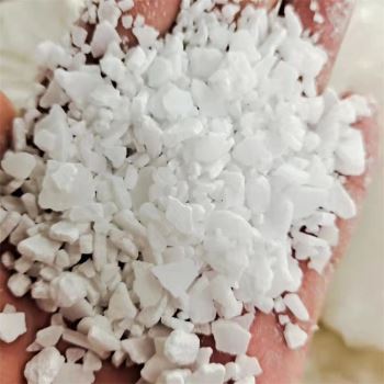 小黄片免费APP下载