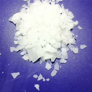 小黄片下载大全