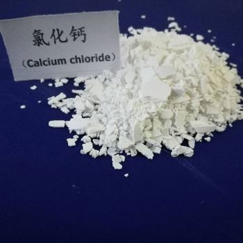 片狀小黄片免费APP下载