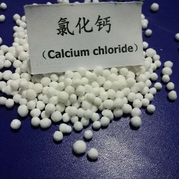 小黄片免费APP下载廠家