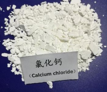 片狀小黄片免费APP下载