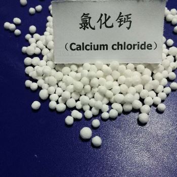 濰坊小黄片免费APP下载顆粒