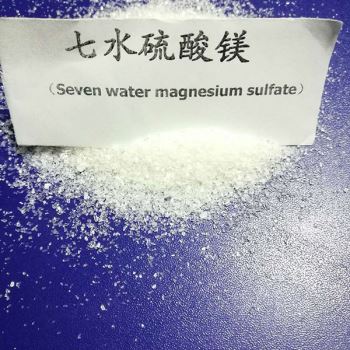 七水小黄片下载入口