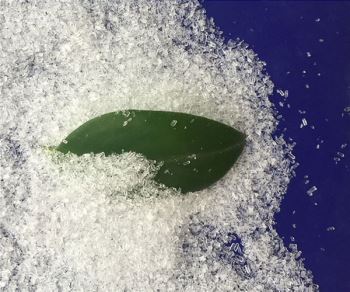 小黄片下载入口廠家
