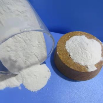 小黄片下载入口