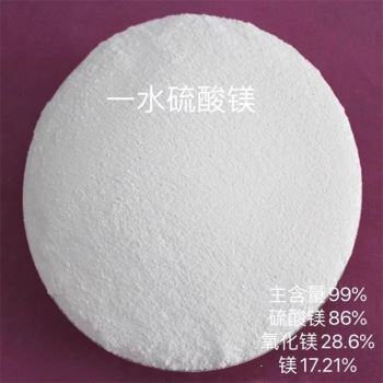 小黄片下载入口