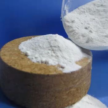 小黄片下载入口