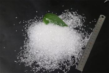 小黄片下载入口