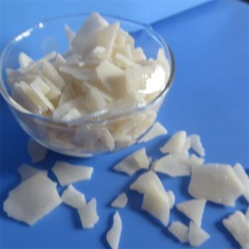 小黄片下载大全