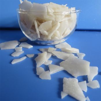 小黄片下载大全