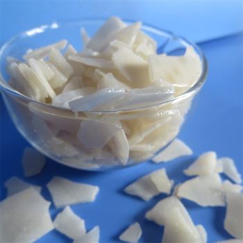 小黄片下载大全