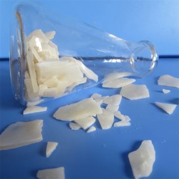 小黄片下载大全