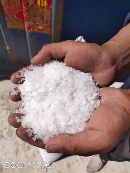 小黄片下载大全