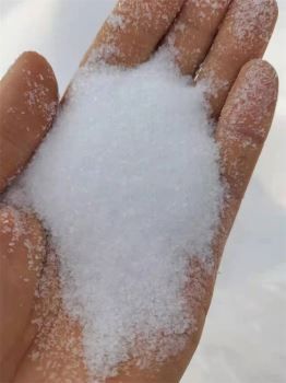 小黄片下载入口