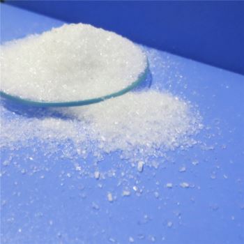 小黄片下载入口