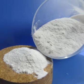 小黄片下载入口