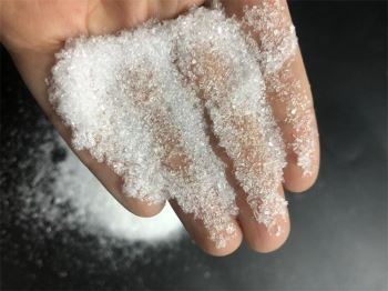 小黄片下载入口