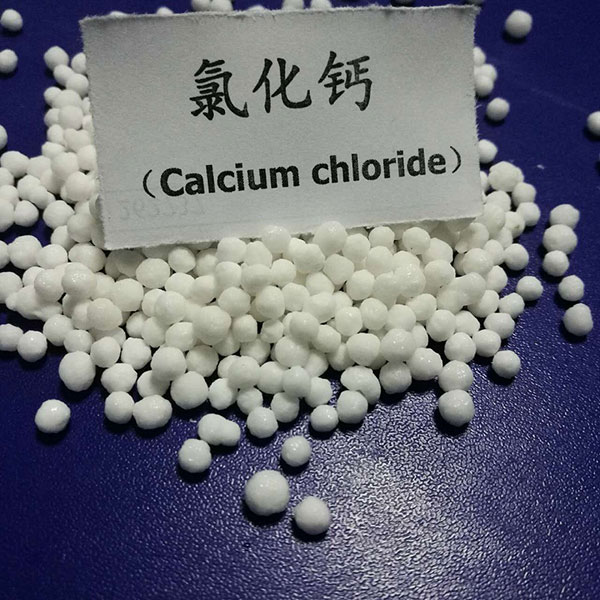 小黄片免费APP下载廠家}