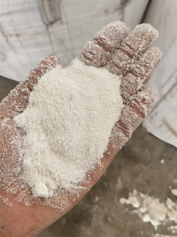 小黄片免费APP下载}