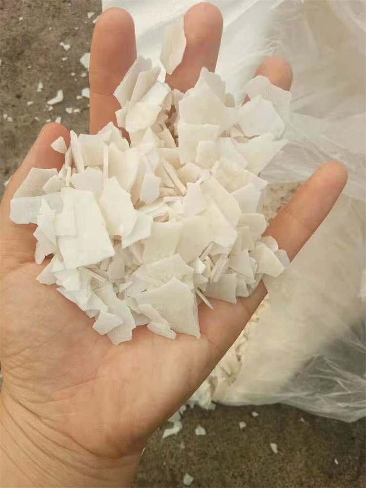 小黄片下载大全}